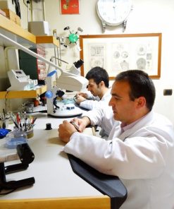 Placa Anti-Rayas para Cristales de Reloj Grado II